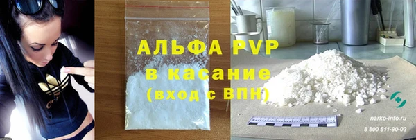 трава Белокуриха