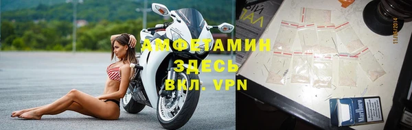 трава Белокуриха